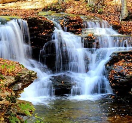 Flowing into Fall 2 - Corey O'Bryan 102114
