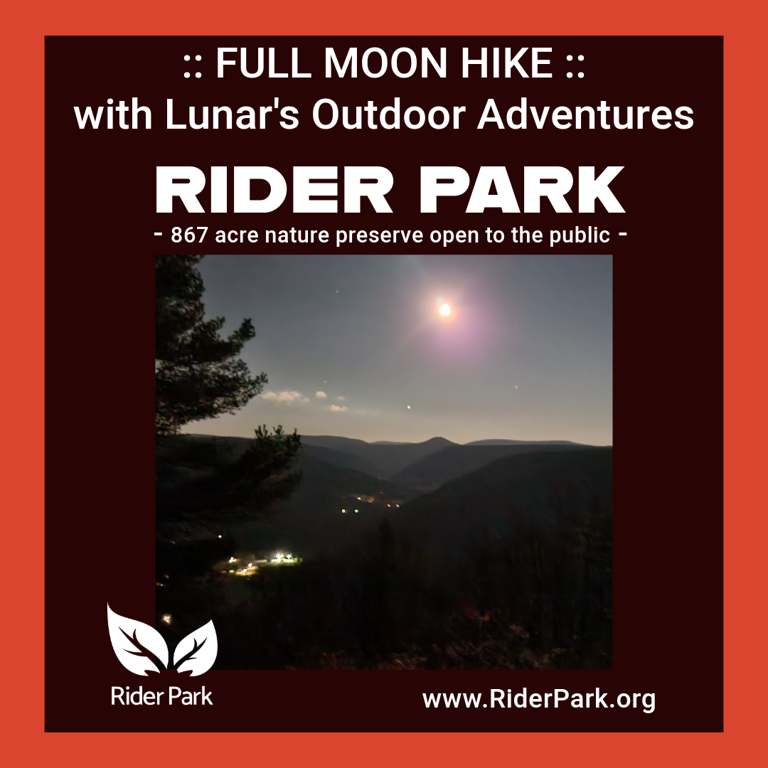 FullMoon