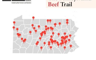 🚗 Hit our Local Beef Trail This Summer!