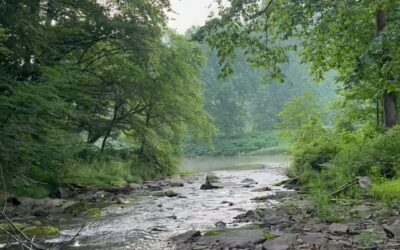 This is a beautiful place up Route 44 to ...