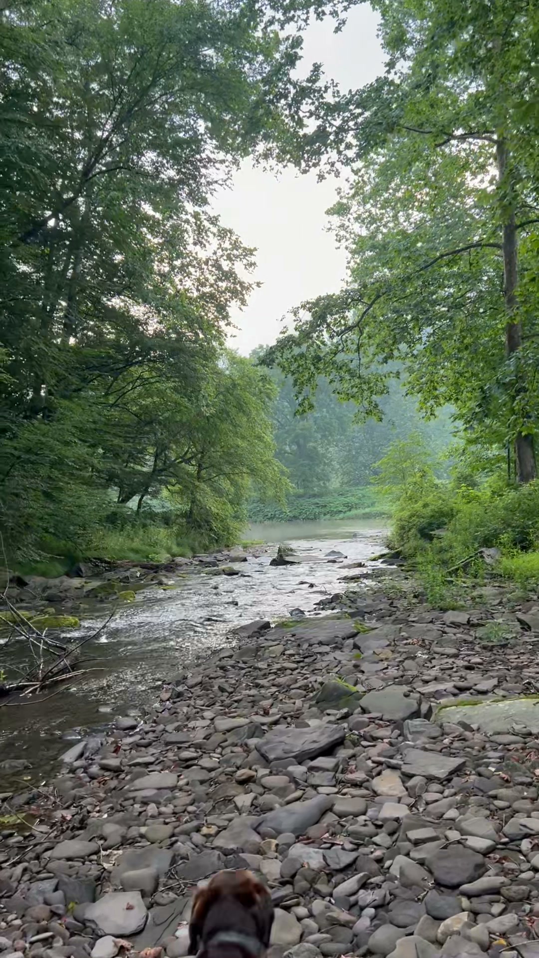 This is a beautiful place up Route 44 to Pine Creek Gorge