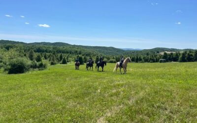 Do you love the great outdoors and, maybe, horses?