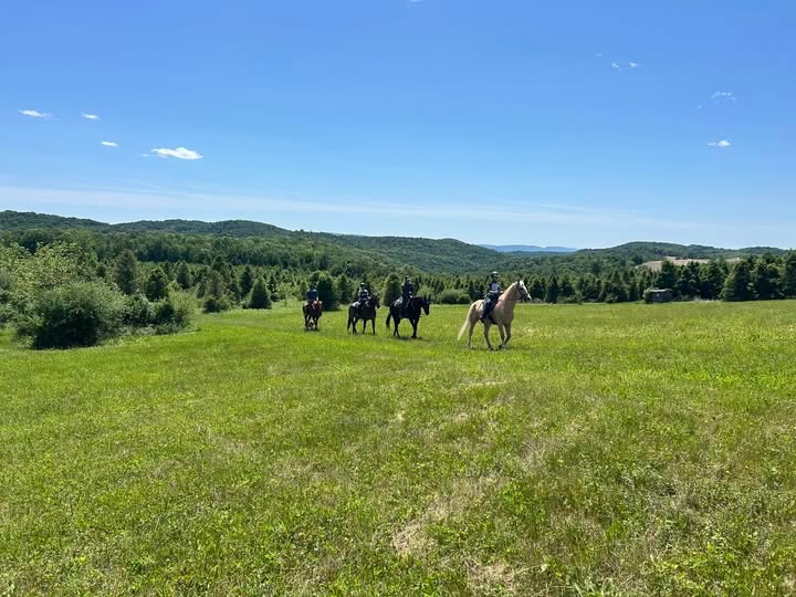 Do you love the great outdoors and, maybe, horses?