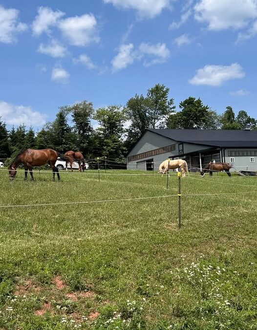 Round Hill Ranch