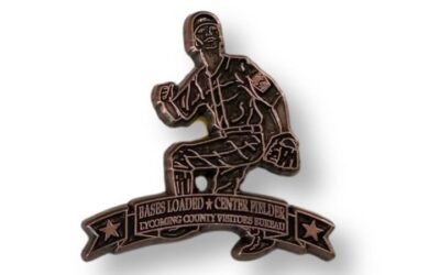 Do you need this pin to add to your ...